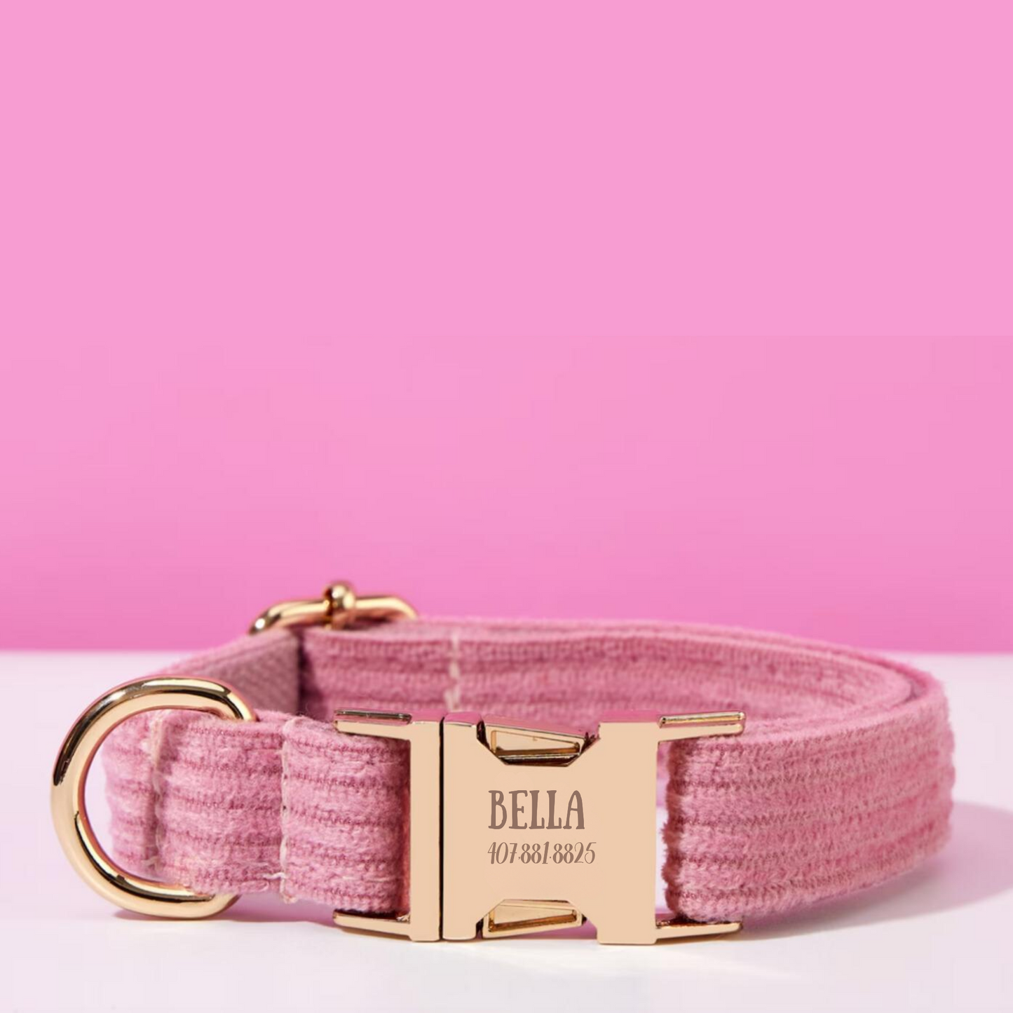 Collier Chien Personnalisé Velours Côtelé