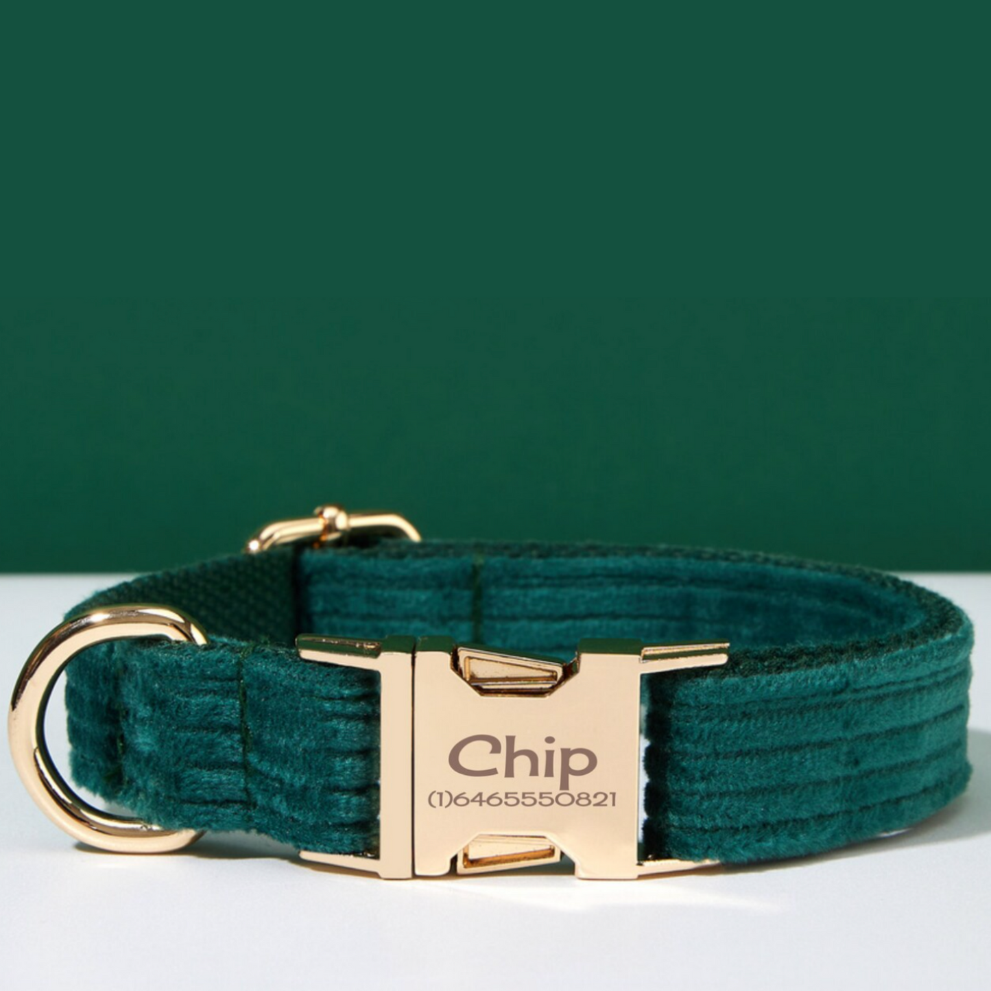 Collier Chien Personnalisé Velours Côtelé