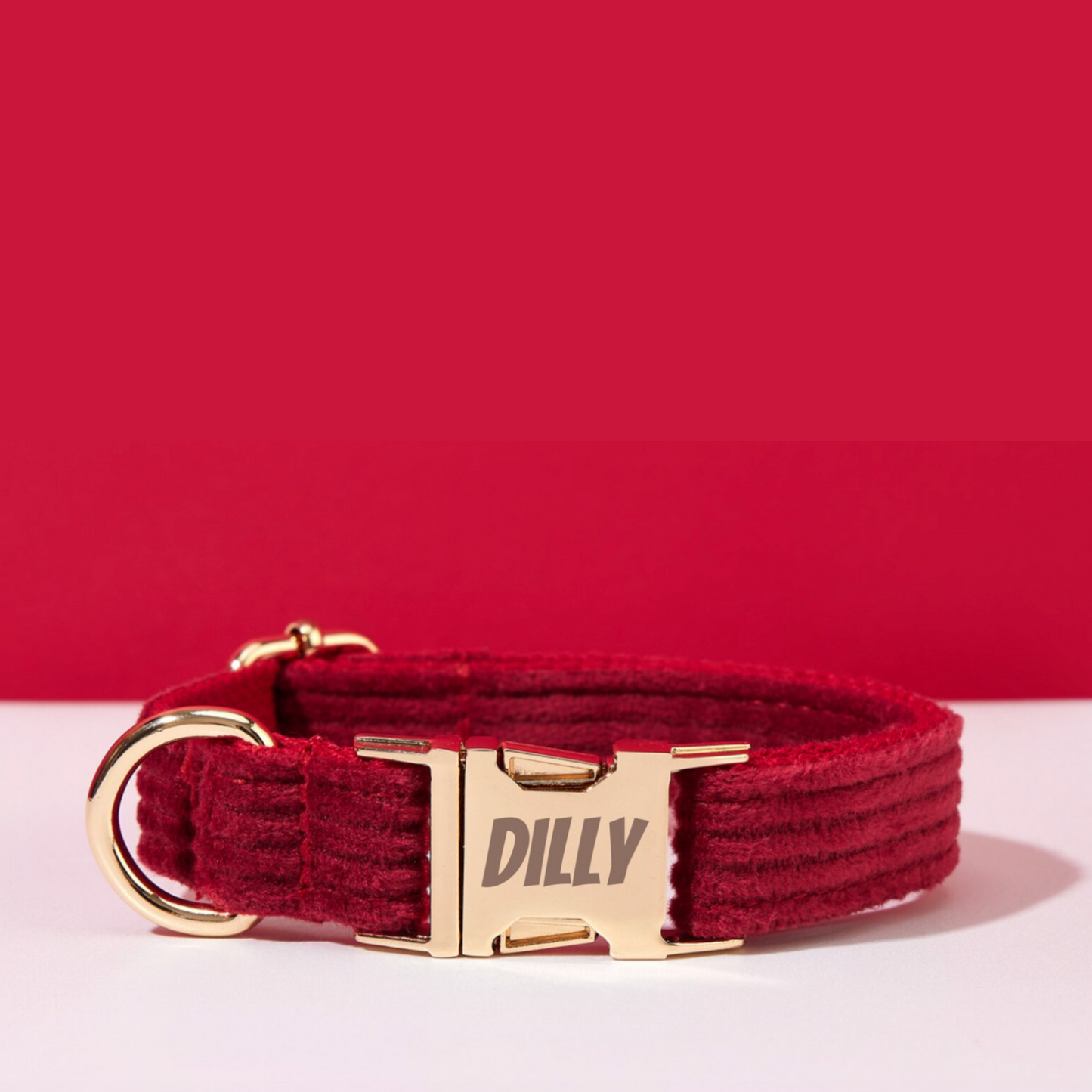 Collier Chien Personnalisé Velours Côtelé