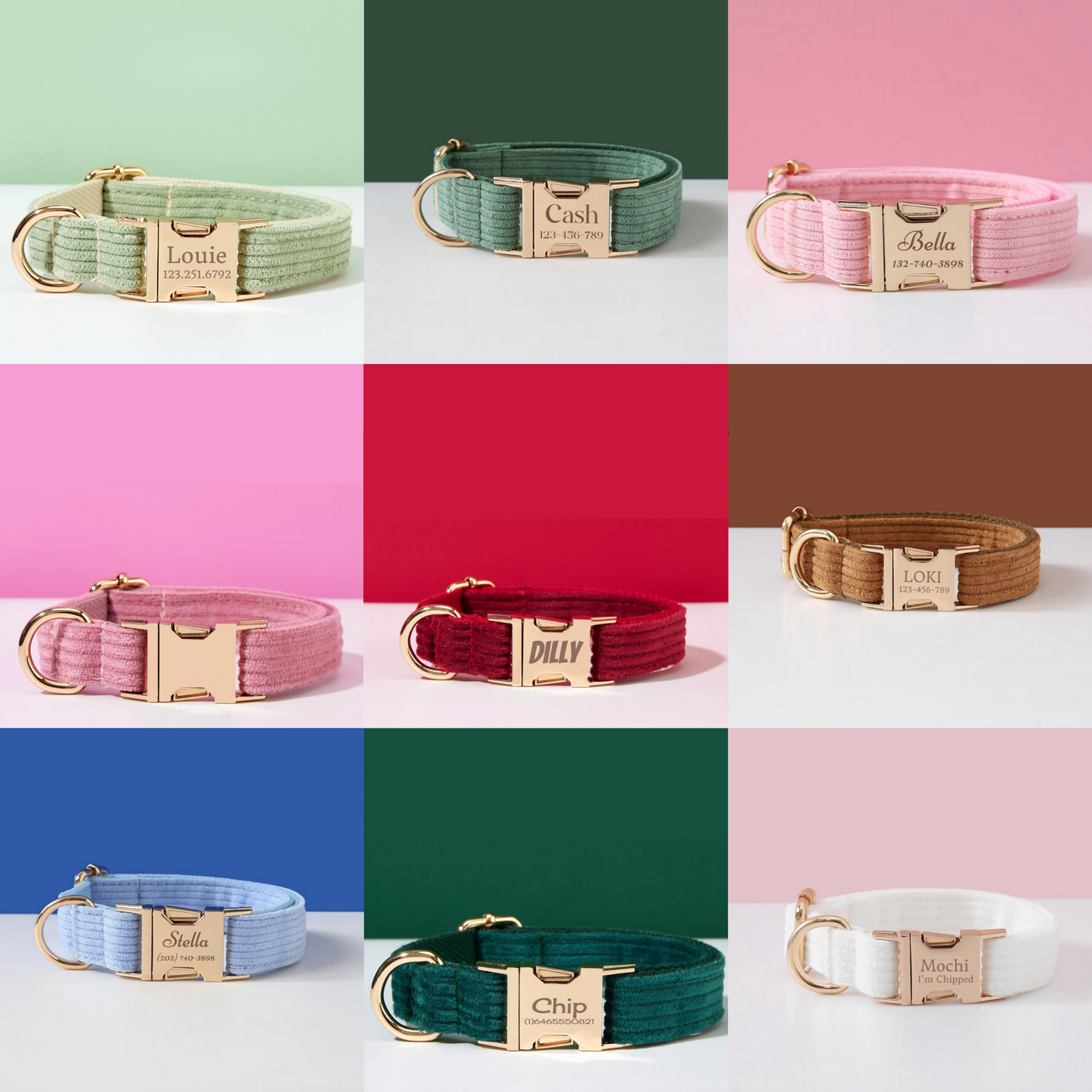 Collier Chien Personnalisé Velours Côtelé