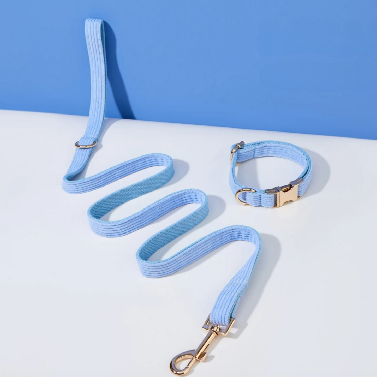 Pack Collier + Laisse en Velours Côtelé
