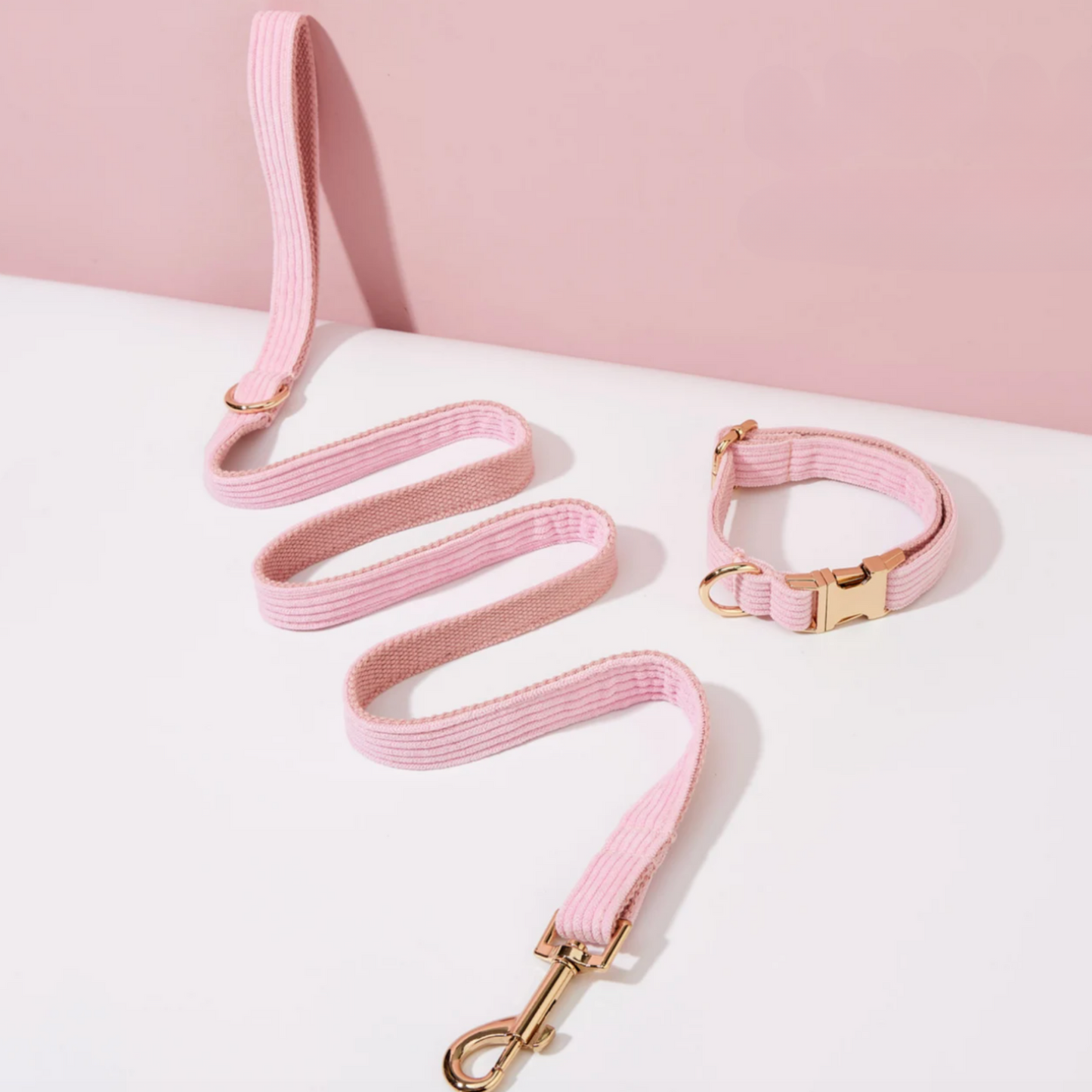 Pack Collier + Laisse en Velours Côtelé