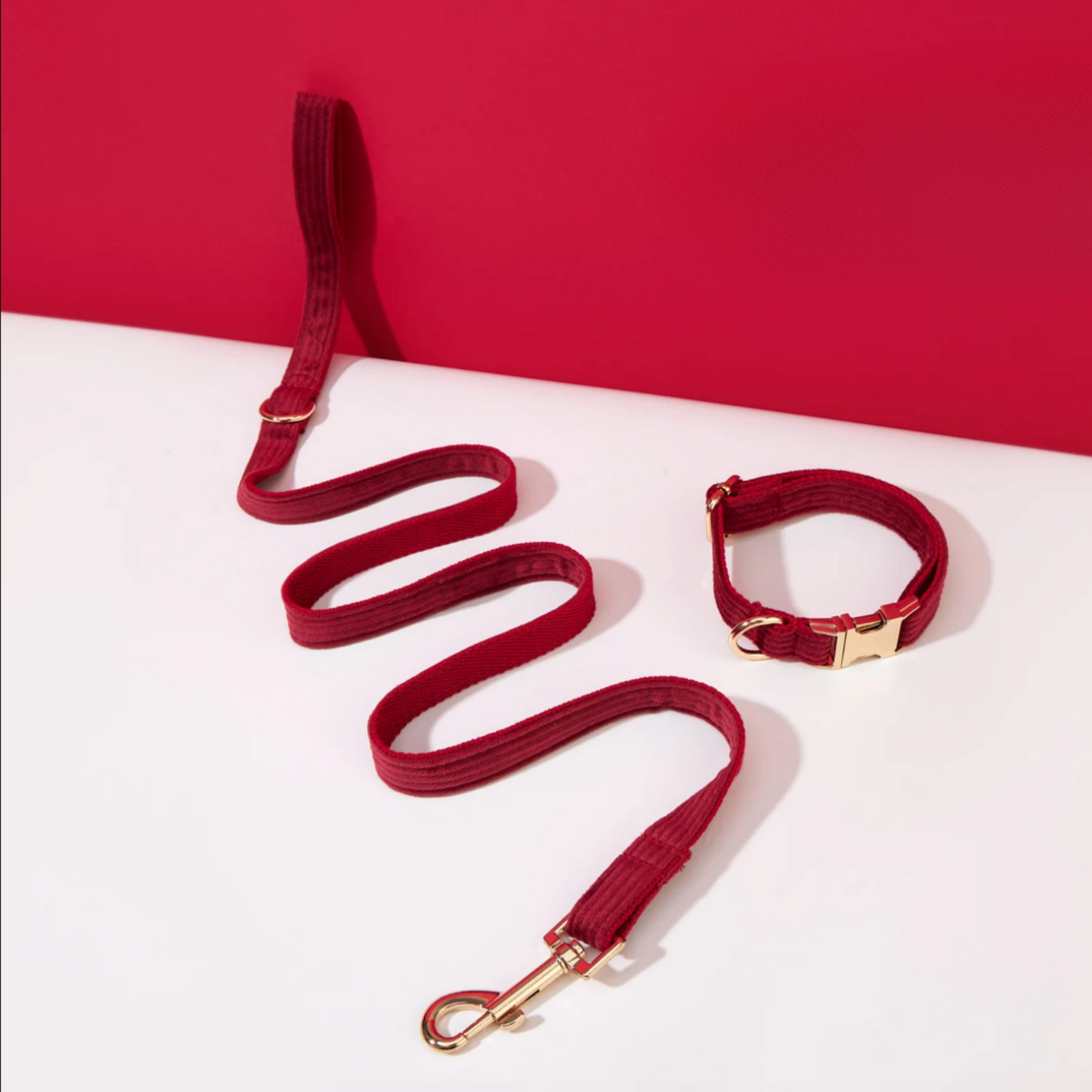 Pack Collier + Laisse en Velours Côtelé