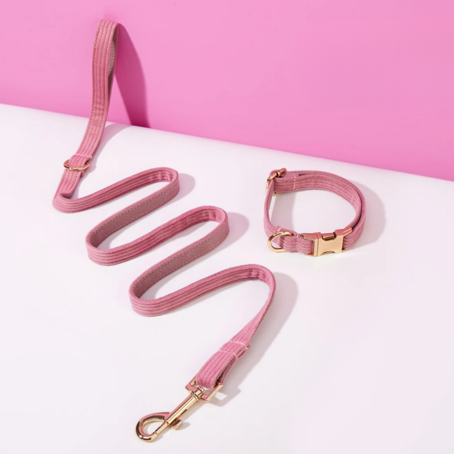 Pack Collier + Laisse en Velours Côtelé