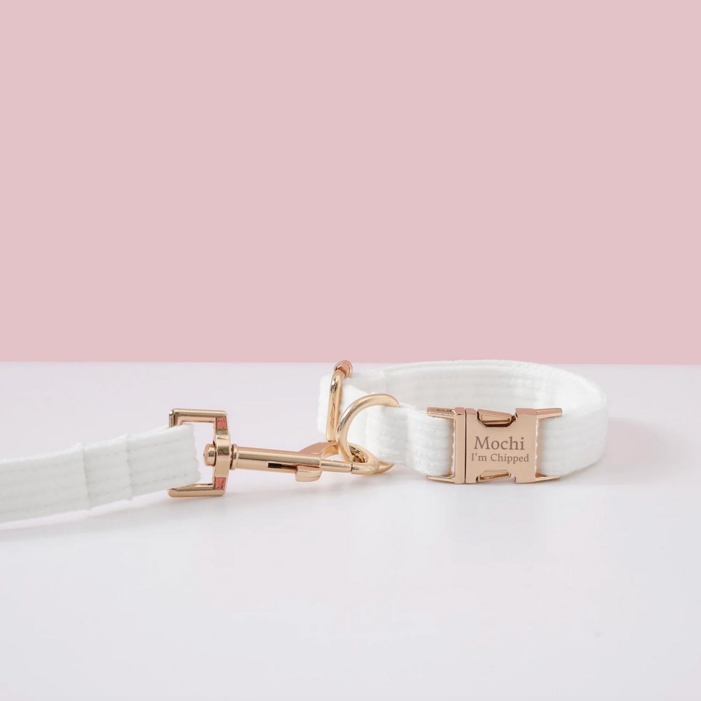 Pack Collier + Laisse en Velours Côtelé