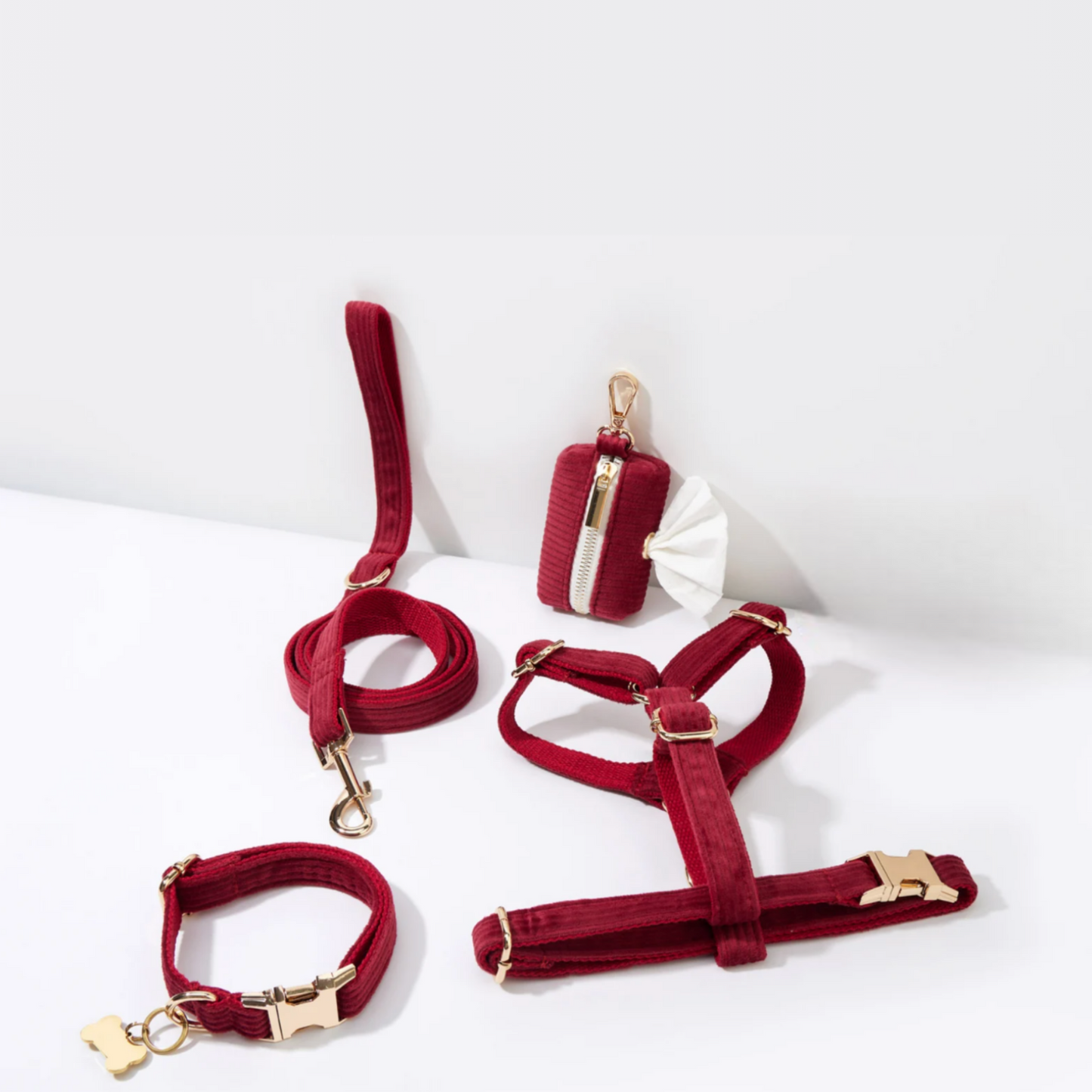 Pack Collier + Harnais + Laisse Velours Côtelé + Sac à 💩 OFFERT