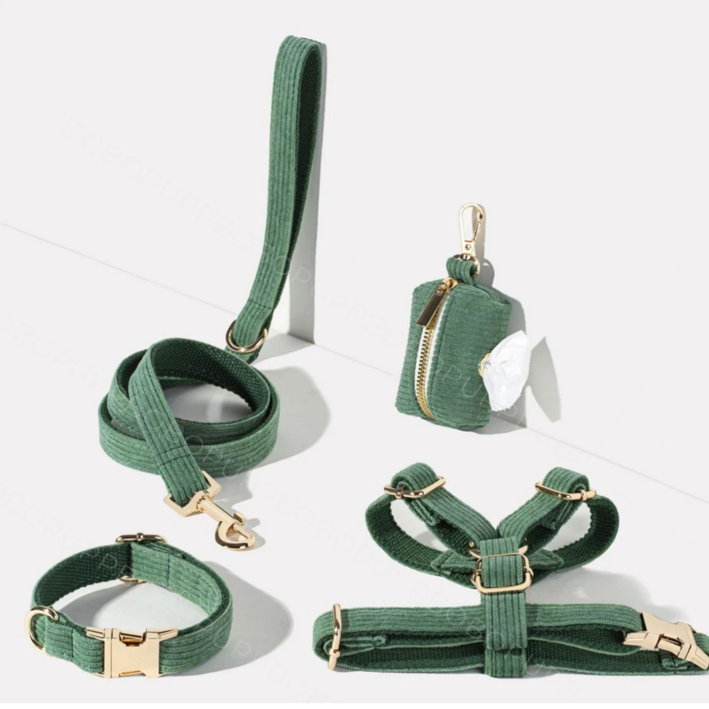 Pack Collier + Harnais + Laisse Velours Côtelé + Sac à 💩 OFFERT