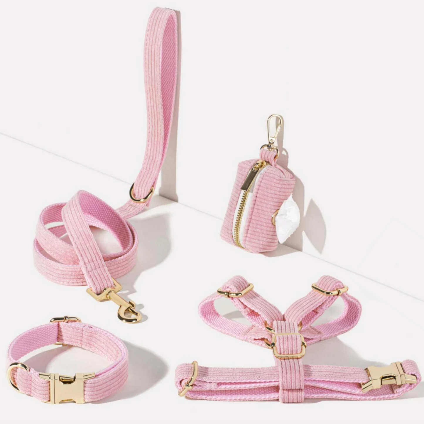 Pack Collier + Harnais + Laisse Velours Côtelé + Sac à 💩 OFFERT