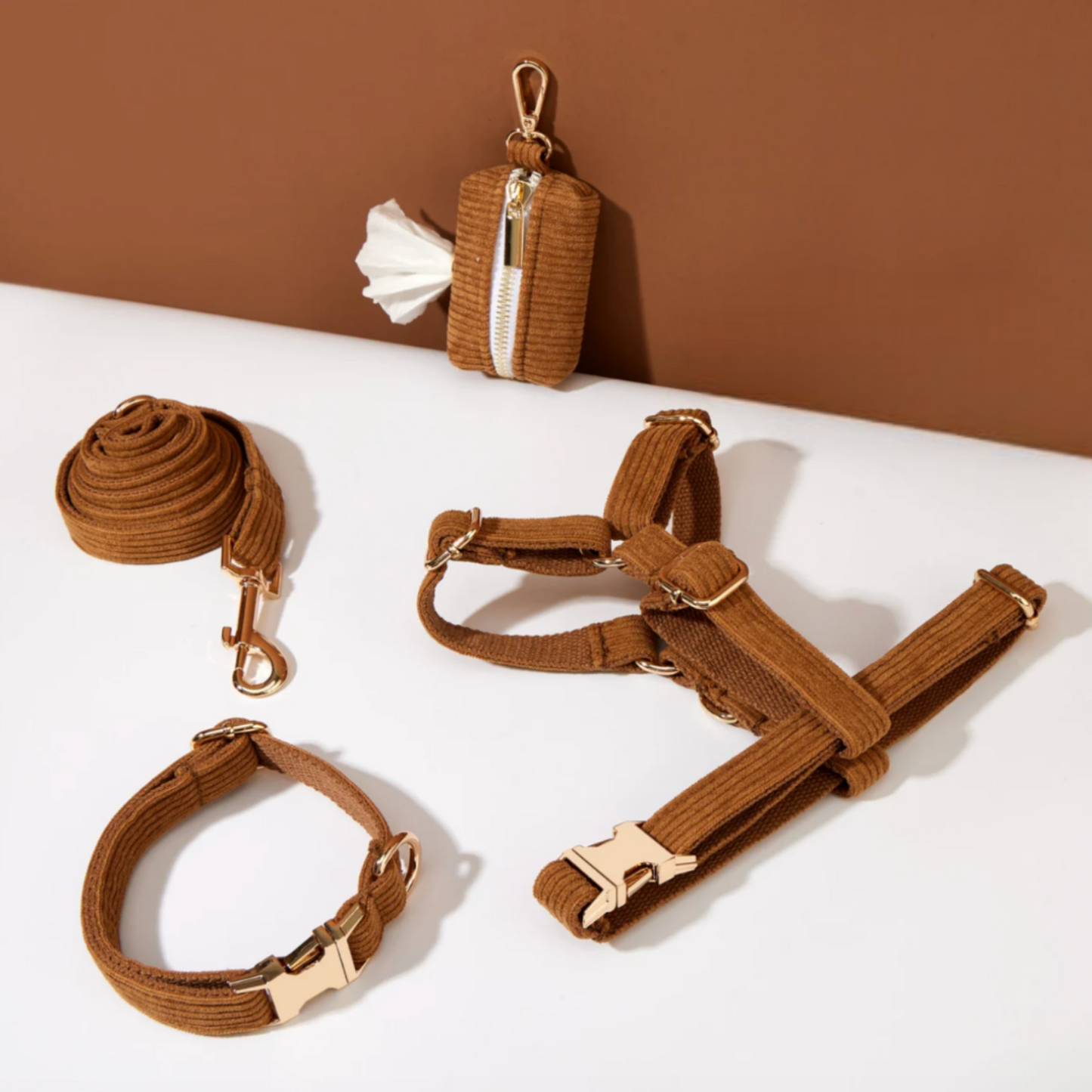 Pack Collier + Harnais + Laisse Velours Côtelé + Sac à 💩 OFFERT