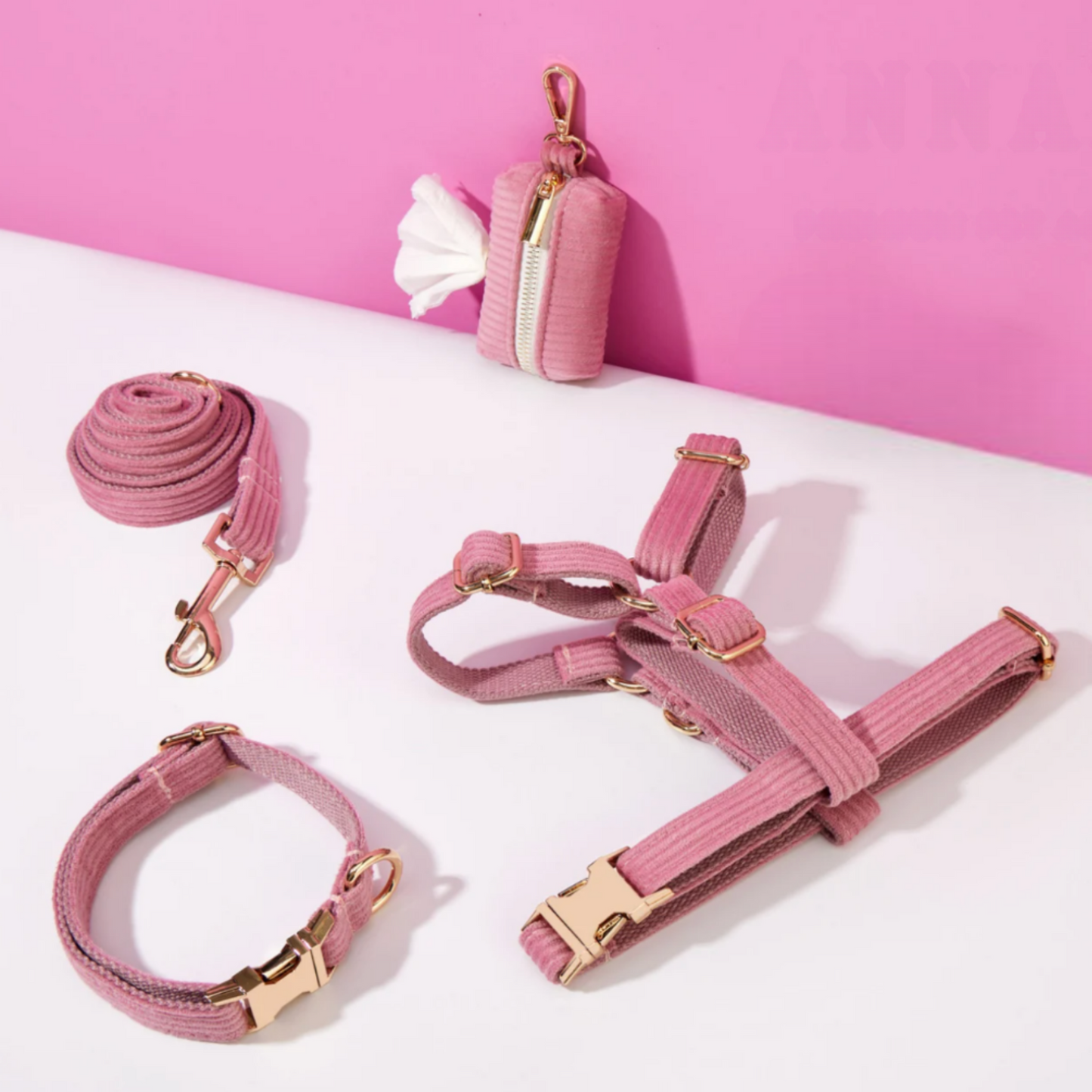 Pack Collier + Harnais + Laisse Velours Côtelé + Sac à 💩 OFFERT