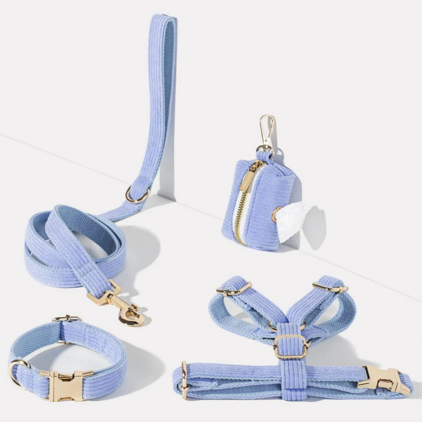 Pack Collier + Harnais + Laisse Velours Côtelé + Sac à 💩 OFFERT