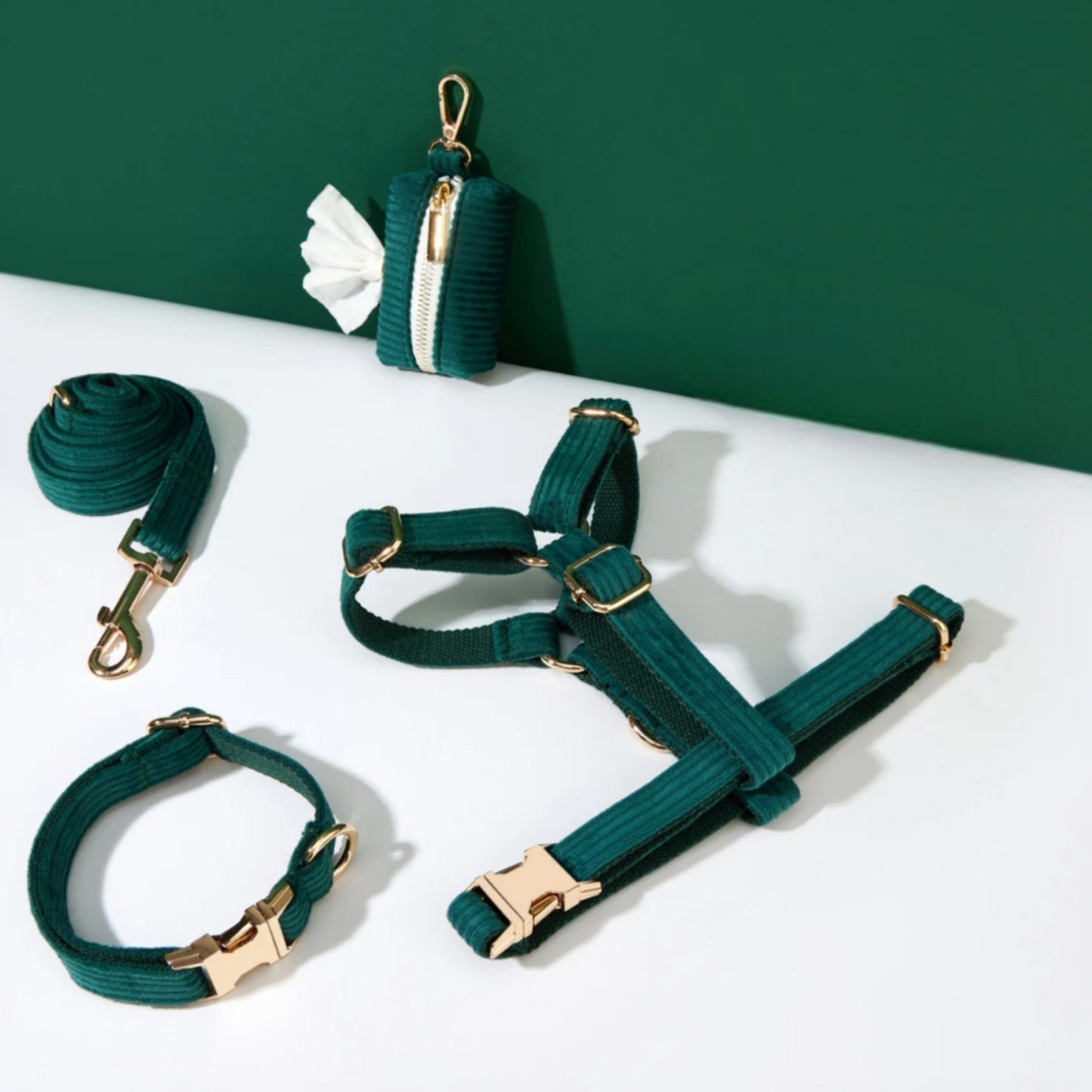 Pack Collier + Harnais + Laisse Velours Côtelé + Sac à 💩 OFFERT