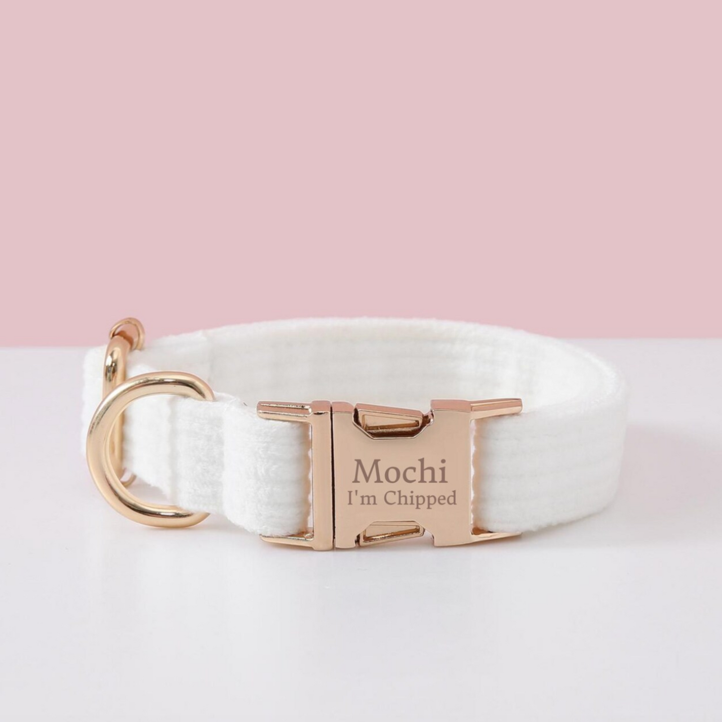 Collier Chien Personnalisé Velours Côtelé