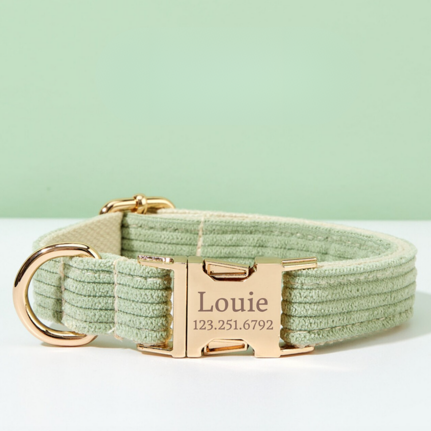 Collier Chien Personnalisé Velours Côtelé