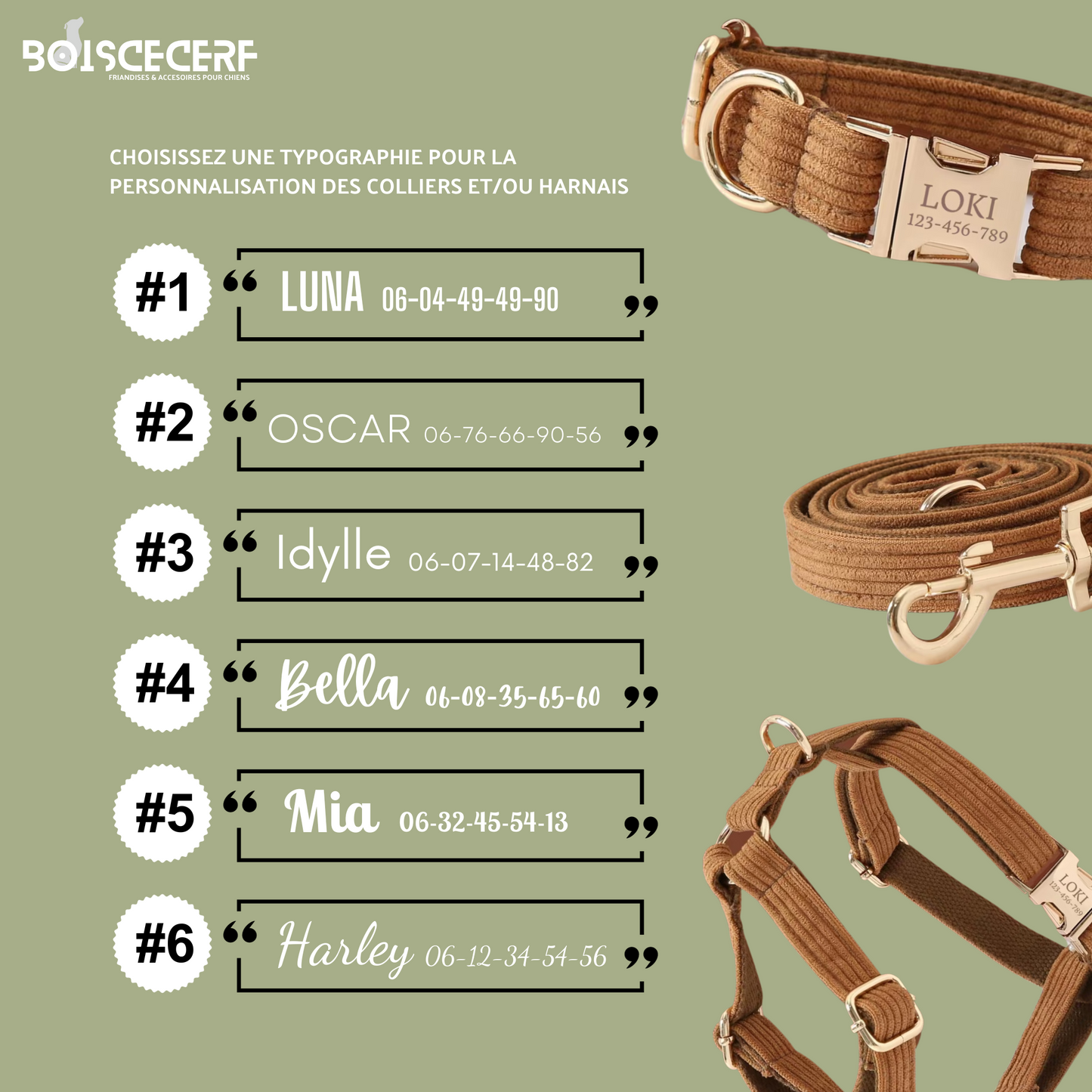 Pack Collier + Laisse en Velours Côtelé