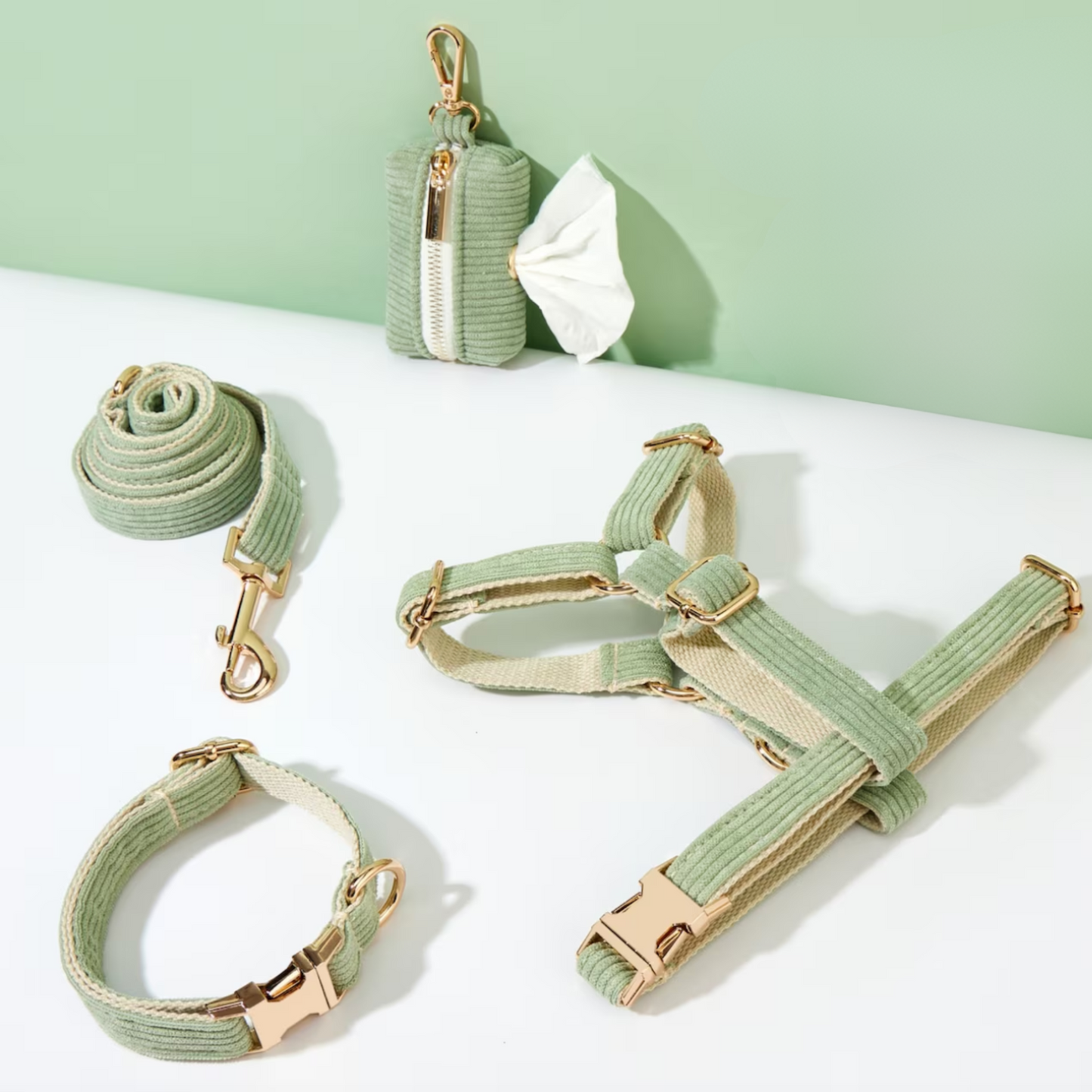 Pack Collier + Harnais + Laisse Velours Côtelé + Sac à 💩 OFFERT