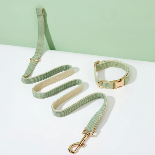 Pack Collier + Laisse en Velours Côtelé